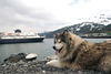 Whittier Alaska